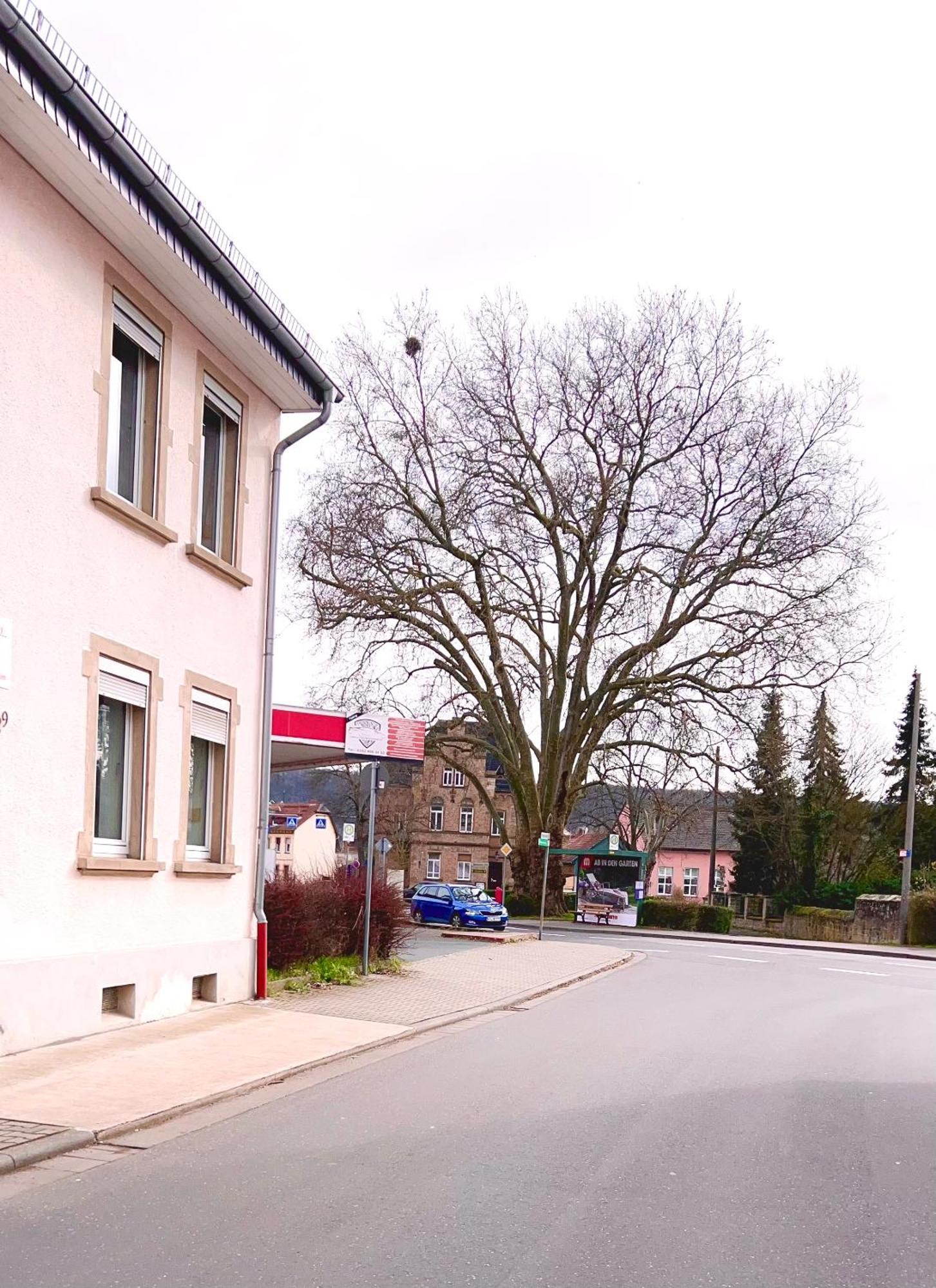 Vinaring Homestay Bad Sobernheim Eksteriør billede